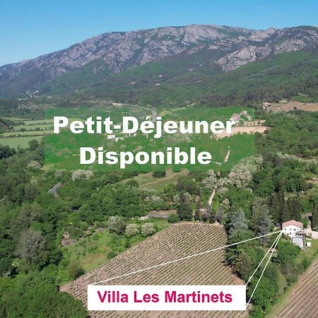 Villa Les Martinets-Piscine-Jacuzzi-Voie Verte-Gorges D'Heric-Massif Du Caroux Mons Olargues 34600 Le Poujol-sur-Orb Bagian luar foto
