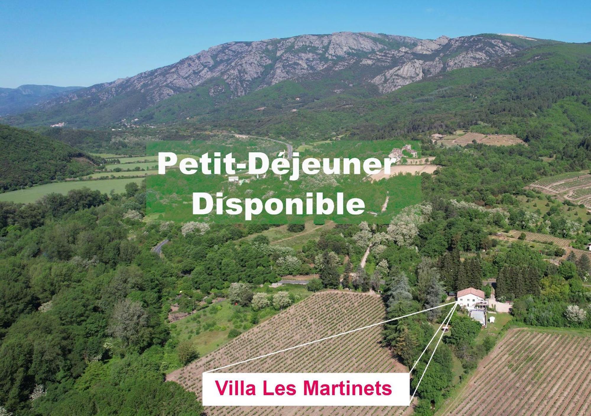 Villa Les Martinets-Piscine-Jacuzzi-Voie Verte-Gorges D'Heric-Massif Du Caroux Mons Olargues 34600 Le Poujol-sur-Orb Bagian luar foto